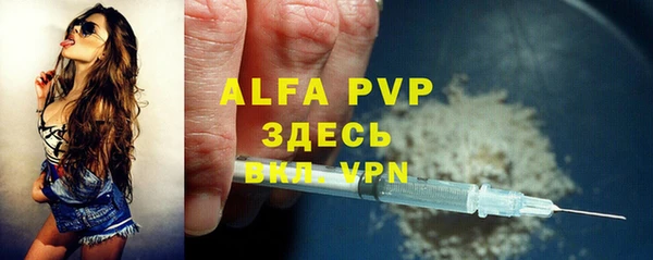 соль ск Белокуриха