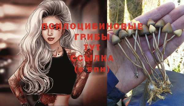бошки Балабаново