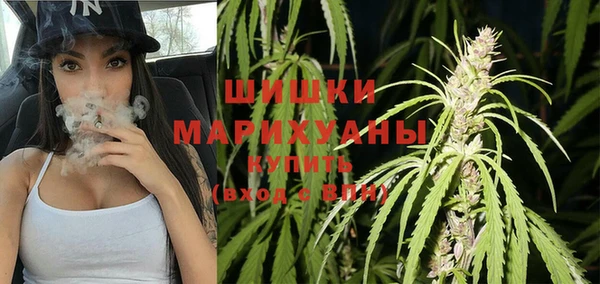 индика Пролетарск