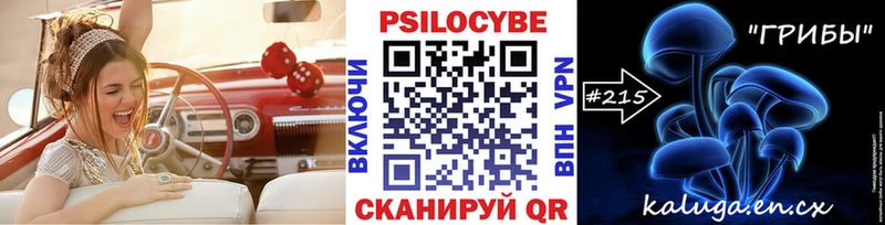 kraken как зайти  Лыткарино  Галлюциногенные грибы Psilocybe  купить закладку 